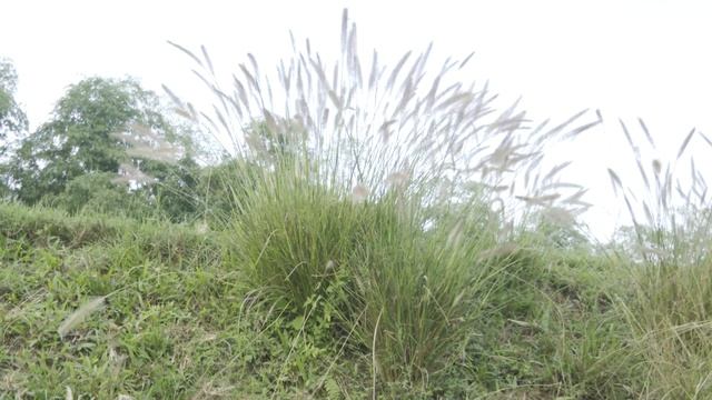 TEST MÁY QUAY-SONY-PXW-Z190-4K смотреть онлайн