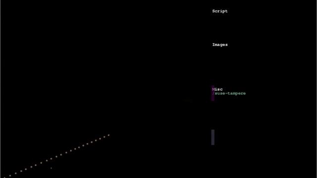 WP.seravo.fi server http trafic vizualized in real time with Logstalgia смотреть онлайн