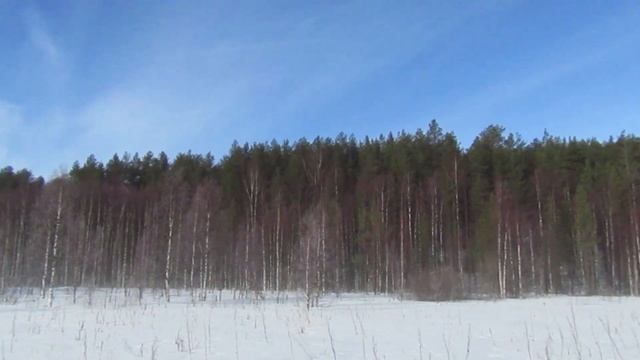 СТРОИМ ДОМ СВОИМИ РУКАМИ. Шлифуем стены из бруса /4 смотреть онлайн