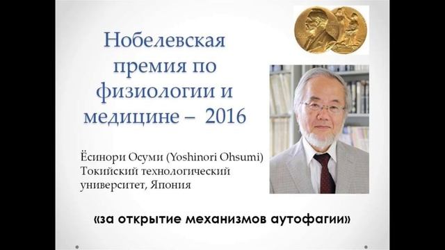 Клиника лечебного голодания Ем Қонар смотреть онлайн