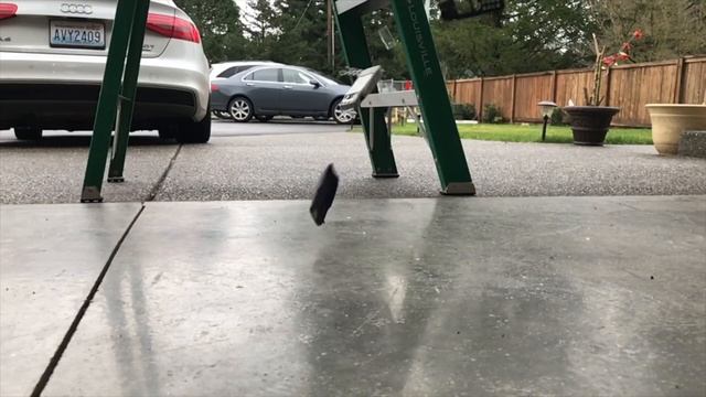 Nokia 6 Vs Nokia 3310 DROP Test! A New Legend?