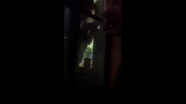 Липчанка через форточку торгует алкоголем