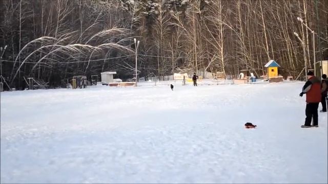 мондьоринг смотреть онлайн
