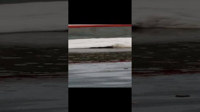 Ливень. смотреть онлайн