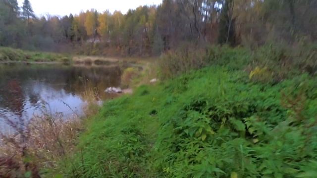 В поисках кадров. Река Дёржа. Маленькая Карелия в 200 км от Москвы. смотреть онлайн