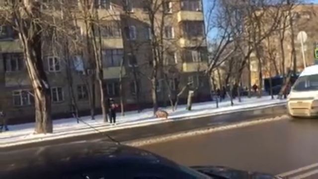 Выходные Москве смотреть онлайн