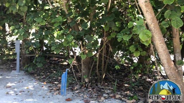 Fort De Soto Park Campsites 233, 234 & 235 | Coastal Camping in Florida | Campsite Reviews смотреть онлайн