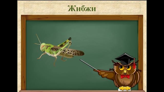 Даргинский язык видеотренажёр насекомые смотреть онлайн