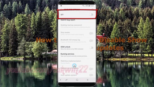 Android Nougat : How to Enable or Disable Show GPU view updates in Samsung Galaxy S8 or S8+ смотреть онлайн