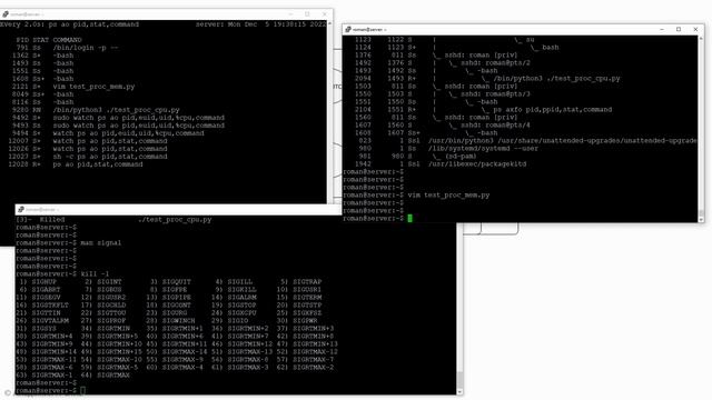 Курс по Linux. Процессы в Linux (новинка 2023) смотреть онлайн