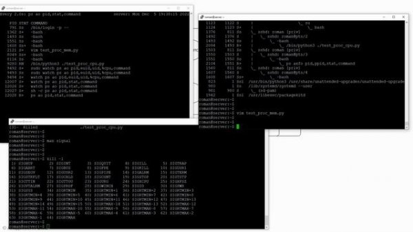 Курс по Linux. Процессы в Linux (новинка 2023)