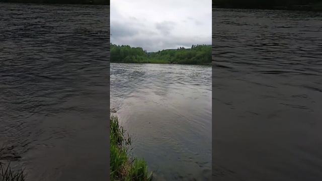 1 видео рыбалка Тумнин смотреть онлайн