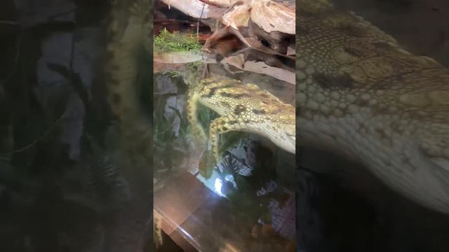 4 августа 2023 г. смотреть онлайн