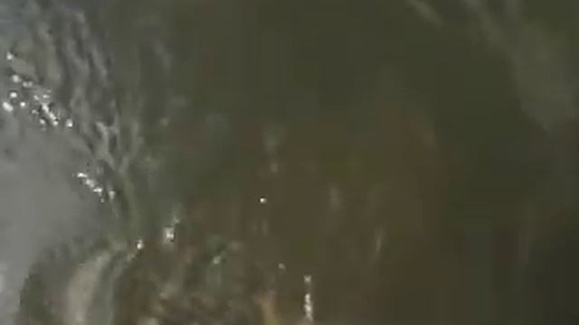 Ка Де Бо плавает под водой! смотреть онлайн