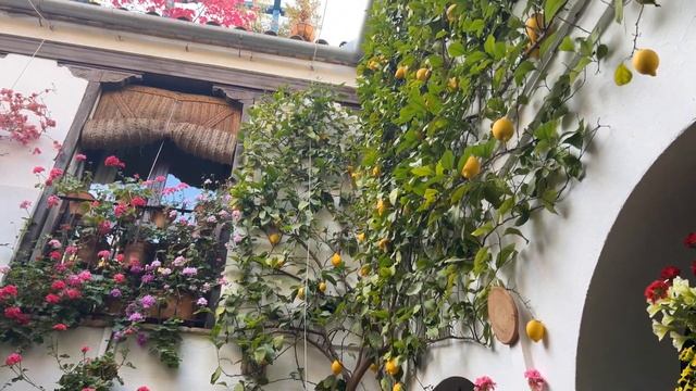 Цветочный фестиваль | Кордоба | Испания |