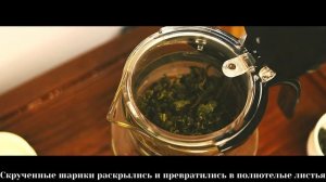 Как правильно заваривать молочный улун | Teapot.by
