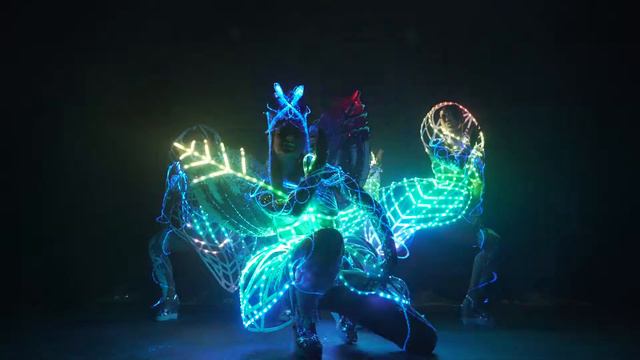 Fire Angels - неоновое лазерное шоу ReBorn