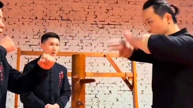 Мастер TU TENGYAO и Мастер ФРЭНСИС ФОНГ               #кунгфу  #винчун