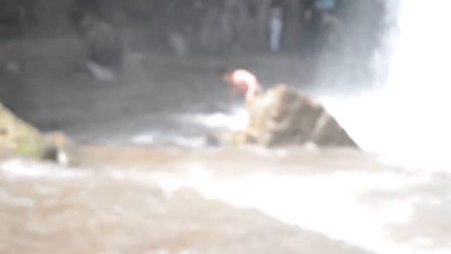 Медовые водопады - собственно мёд смотреть онлайн