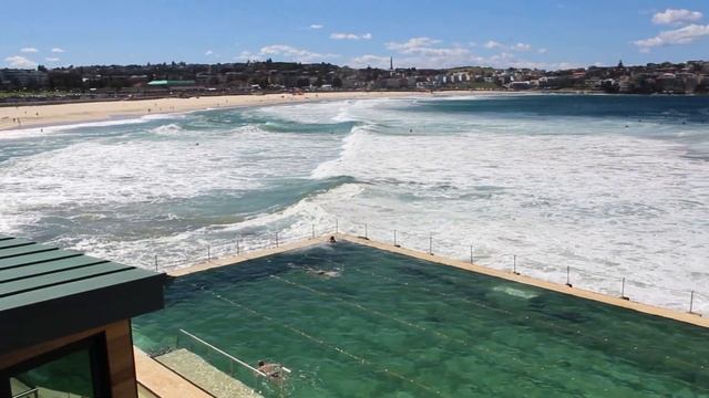 Bondi Beach | Bondi Icebergs Swimming Club | LIFE in AUSTRALIA смотреть онлайн