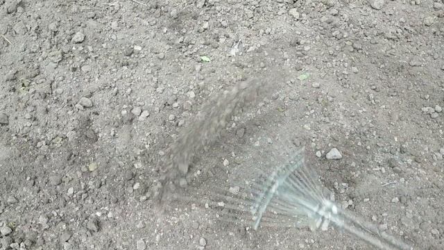 #Клевер белый. Посев семян в открытый грунт. смотреть онлайн