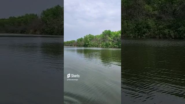 #Shorts   #Рыбалка  #Рыбаки