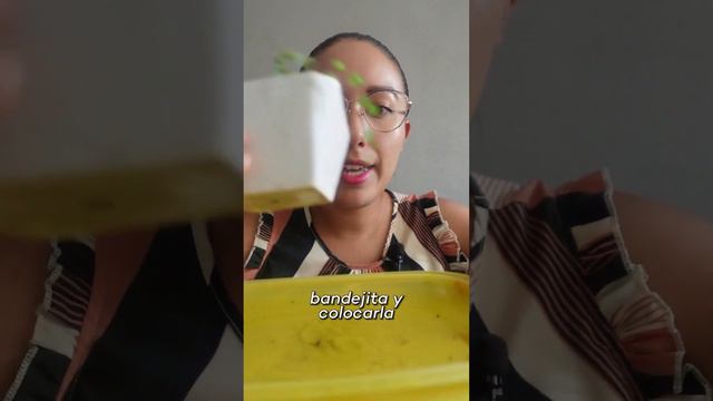 Peperomia Prostrata O Cadena De Tortugas