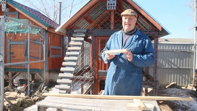 Правильная лестница- трап для кур своими руками. смотреть онлайн