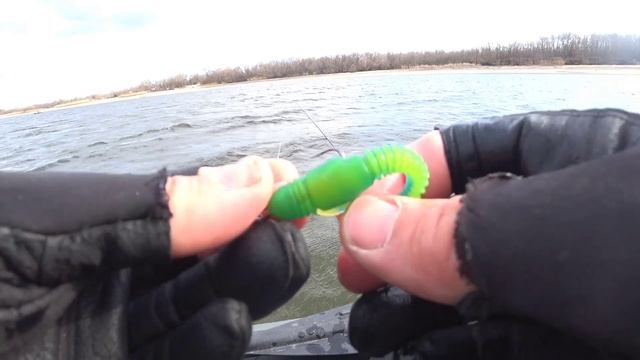 Полосатые кабаны 2023. Lacky John #tioga рулит