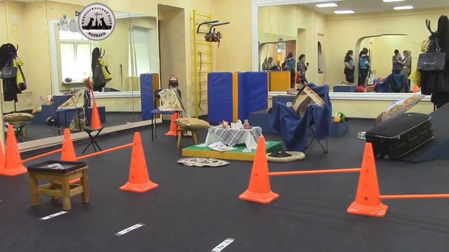 19.05.2018. "Кубок мисс Марпл-2018". Соревнования по поиску. Класс "Новички". смотреть онлайн