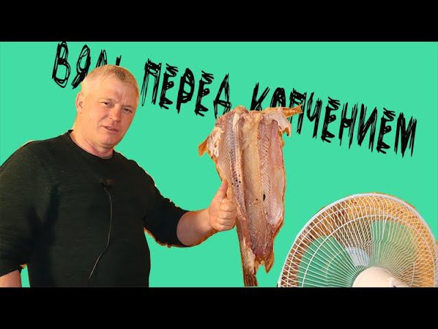 Готовлю щуку к копчению Немного повялим, а потом закоптим смотреть онлайн