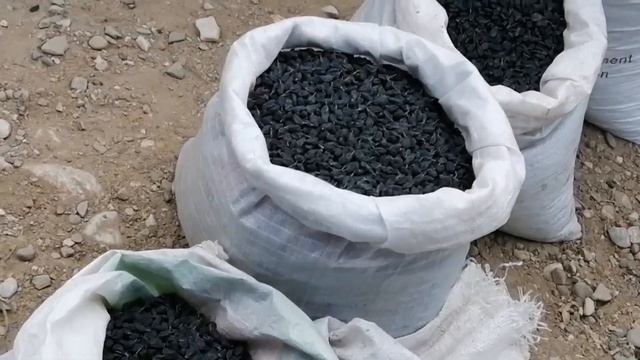 Samarqand Moybuloq Mayiz ( kishmish) narxlari 2020y 9dekabr смотреть онлайн