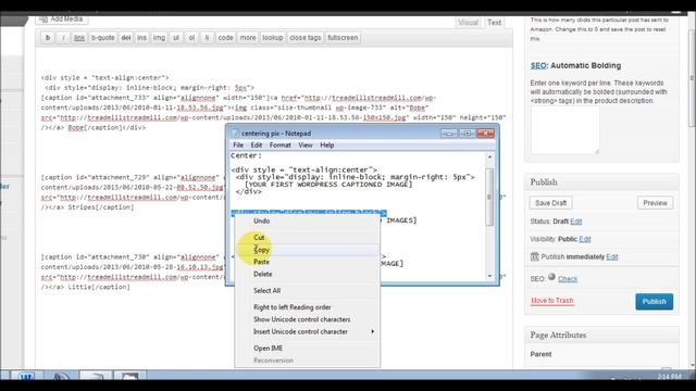 Display Wordpress Images Side By Side смотреть онлайн