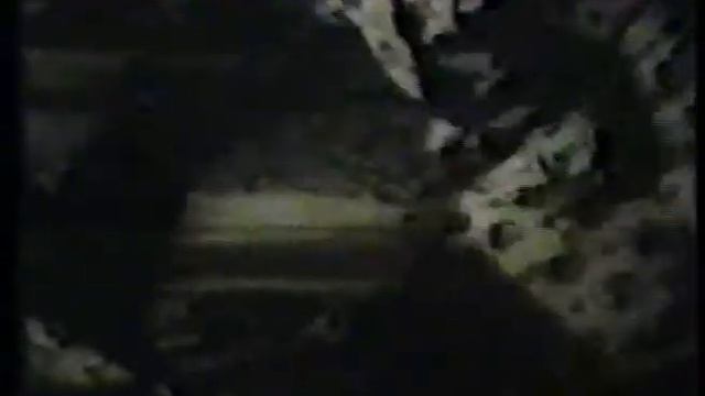 Типы высшей нервной деятельности смотреть онлайн