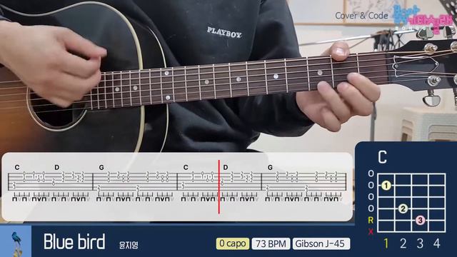 블루버드Blue bird 윤지영 기타커버 기타코드 기타악보 타브악보 코드악보 기타강좌 Guitar cover смотреть онлайн