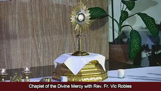Chaplet of the Divine Mercy and Benediction of the Blessed Sacrament - January 4, 2020 смотреть онлайн
