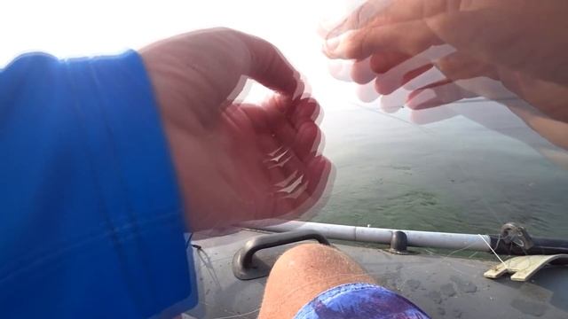 От таких Поклёвок и Душа радуется...Рыбалка осенью. Ловля леща на кольцо 2021 смотреть онлайн