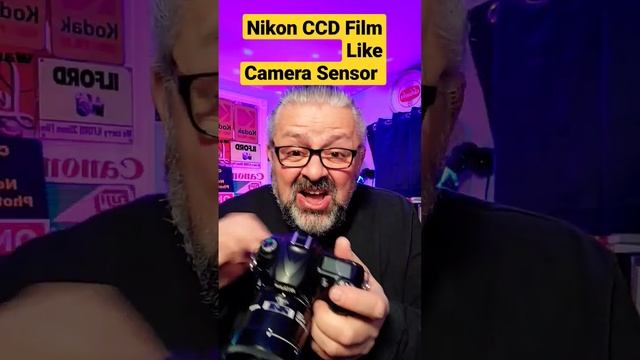 Nikon D50 $30 It has a gorgeous CCD Film Like Sensor..Shoot Digital, get Film Results смотреть онлайн