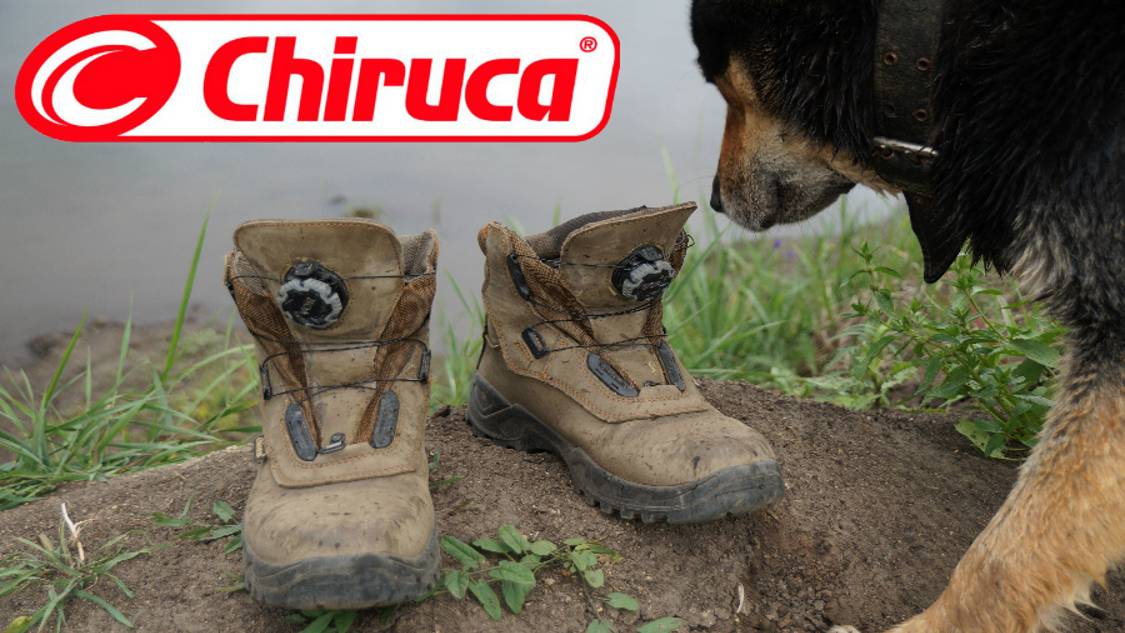 Chiruca Labrador BOA