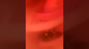 Я купаюсь в ванне Вероника