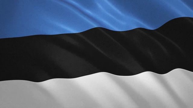 Развевающийся флаг Эстонии / Waving Flag of Estonia смотреть онлайн