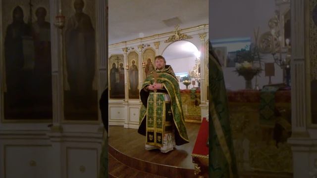 Вход Господень в Иерусалим .проповедь смотреть онлайн