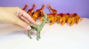 Набор животных от компании BONDIBON "Ребятам о Зверятах", животные джунглей 12 видов