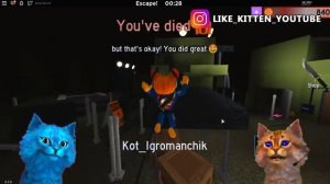 ? СЕКРЕТ ЛЕТАЮЩЕГО БЕКОНА в РОБЛОКС Bakon COUNTDOWN ROBLOX ДЕЛАЮ КОНЦОВКУ КОТЁНОК ЛАЙК и ИГРОМАН