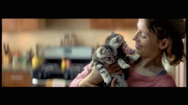 WHISKAS® Nederland - Big Cat Kitten Commercial (2014) смотреть онлайн