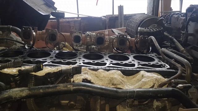 DAF 105 скинули мотор смотреть онлайн