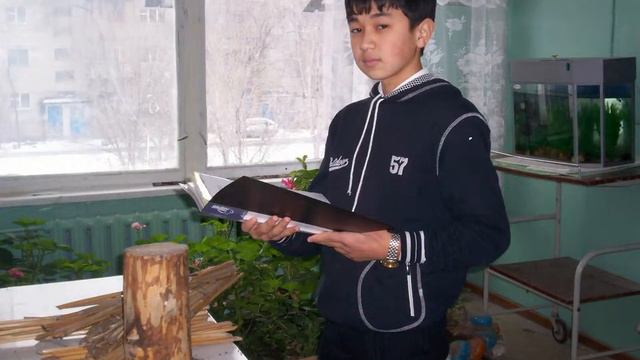 СЛАЙДЫ ПЧЁЛЫ смотреть онлайн