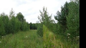 Святой источник Блаженного Симона Юрьевецкого близь села Оделёво