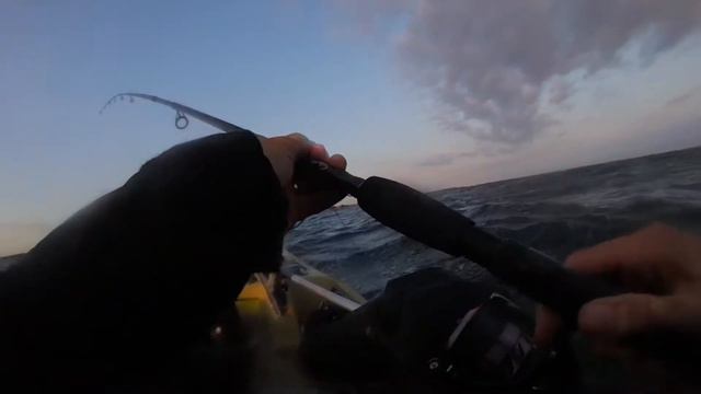 Kajakfiske Öresund 15/7-2020 смотреть онлайн