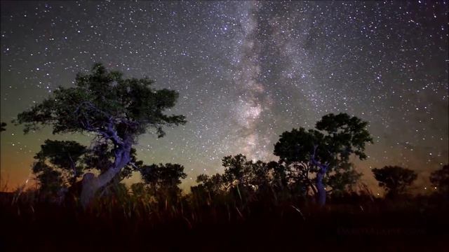 Andreas Vollenweider - Dancing With The Lion (HD)